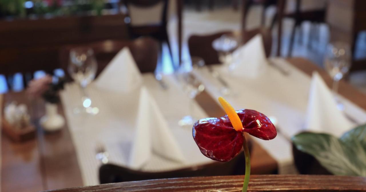 Hotel Tripic, Restaurant And Pizzeria Bohinj Εξωτερικό φωτογραφία